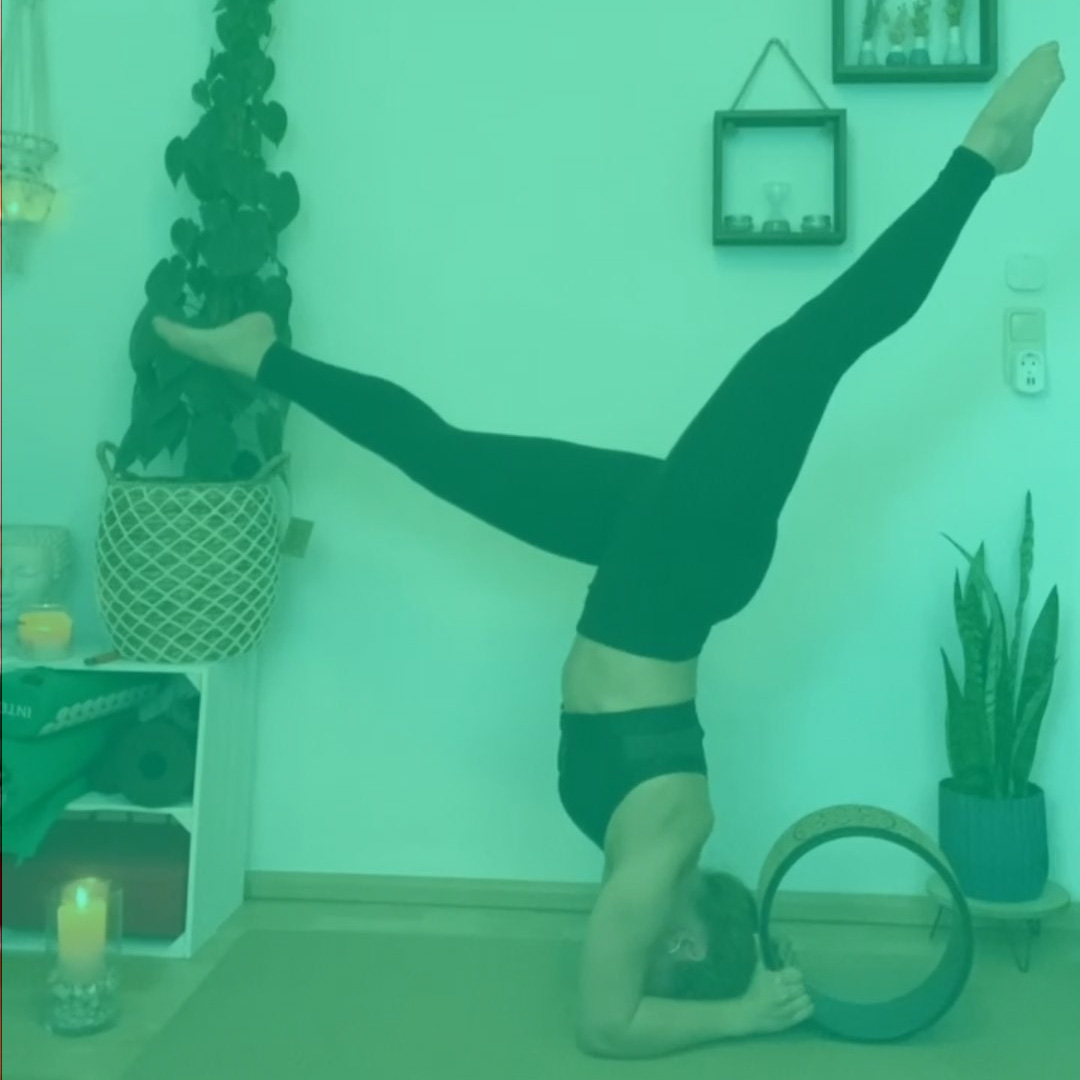 YogaLamaTest YogaLamaTest